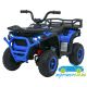 Quad eléctrico infantil DESERT ROBUST 12V 4X4 MANDO 2.4G