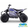 Quad eléctrico DAKAR 72V 1800W R10