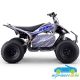 Quad eléctrico DAKAR 72V 1800W R10