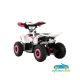 Quad infantil a gasolina LEGEND 49CC 