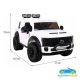 FORD SUPER DUTY 4X4 24V MP4 2 PLAZAS 2.4G